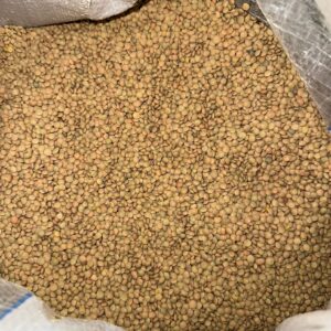 Lenticchie 1kg